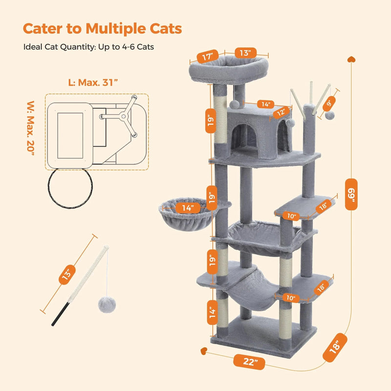 Arbre à chat | Augustis