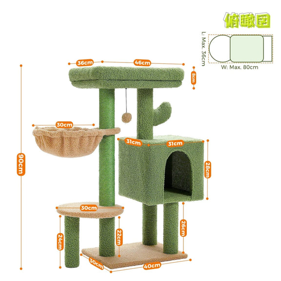 Arbre à chat | Ludus