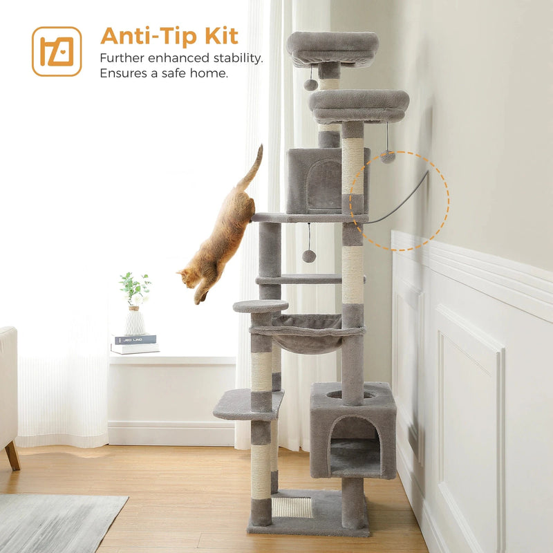 Arbre à chat | Monarchia
