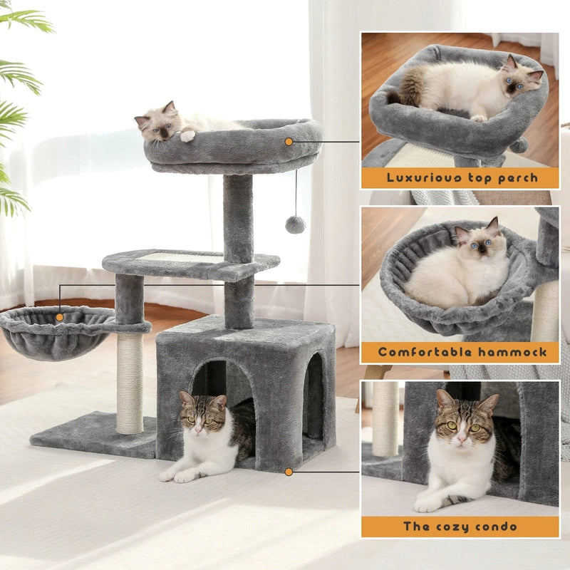 Arbre à chat | Pavonis Gris