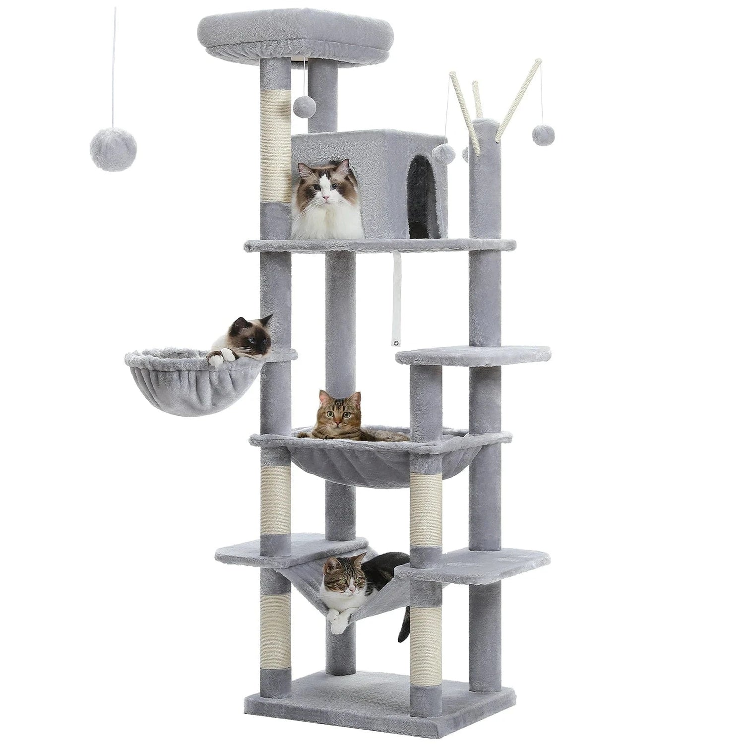 Arbre à chat | Augustis