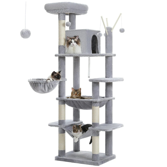 Arbre à chat | Augustis