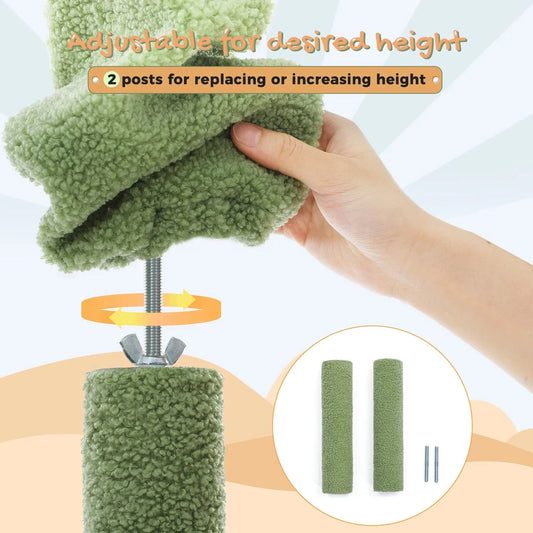 Arbre à chat | Colossia Cactus