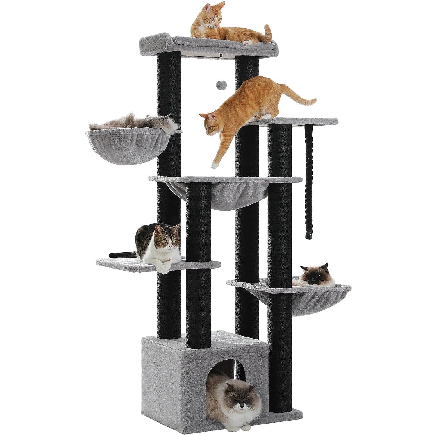 Arbre à chat | Dominus Gris