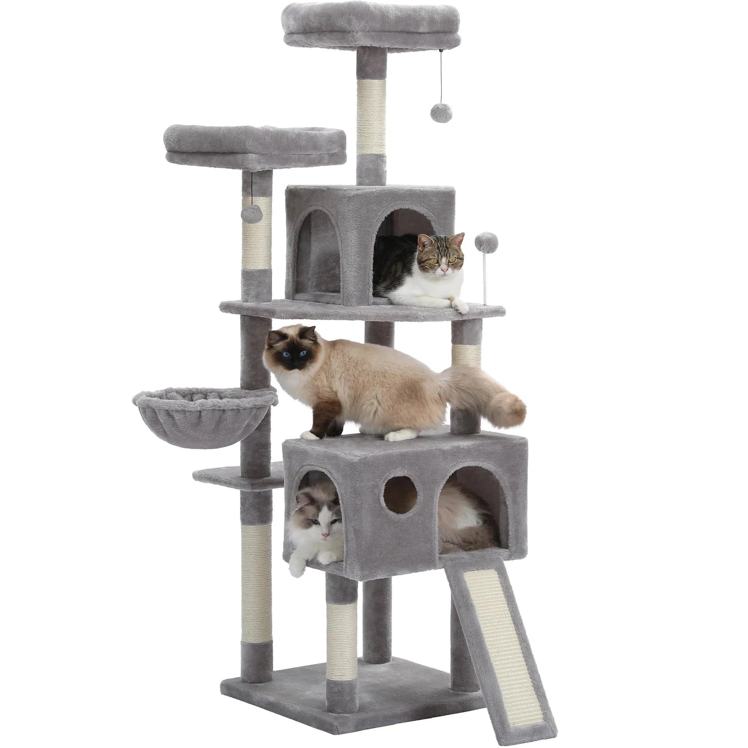 Arbre à chat | Legat