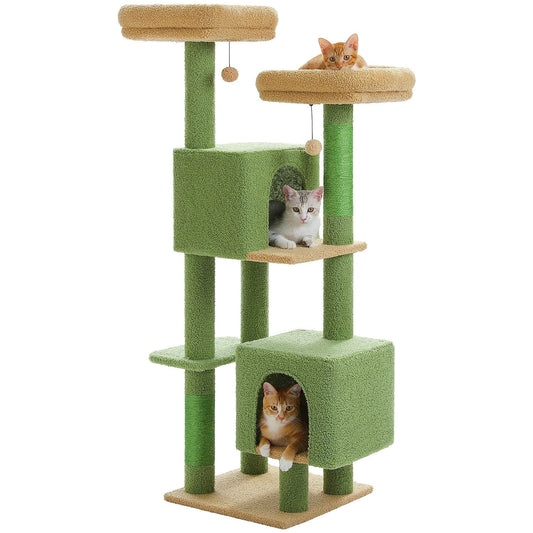 Arbre à chat| Leovara Cactus