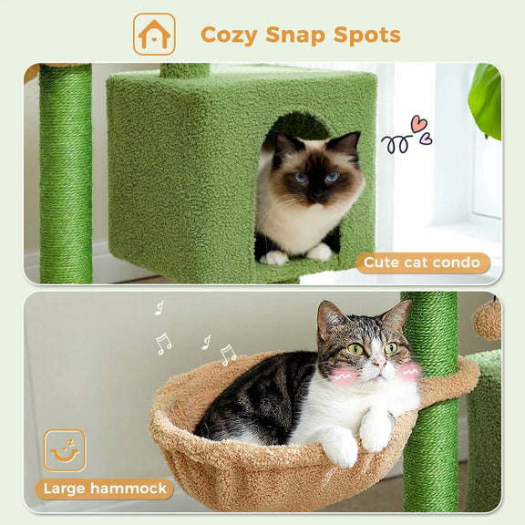 Arbre à chat | Ludus
