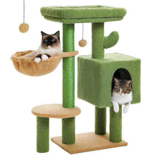 Arbre à chat | Ludus Cactus