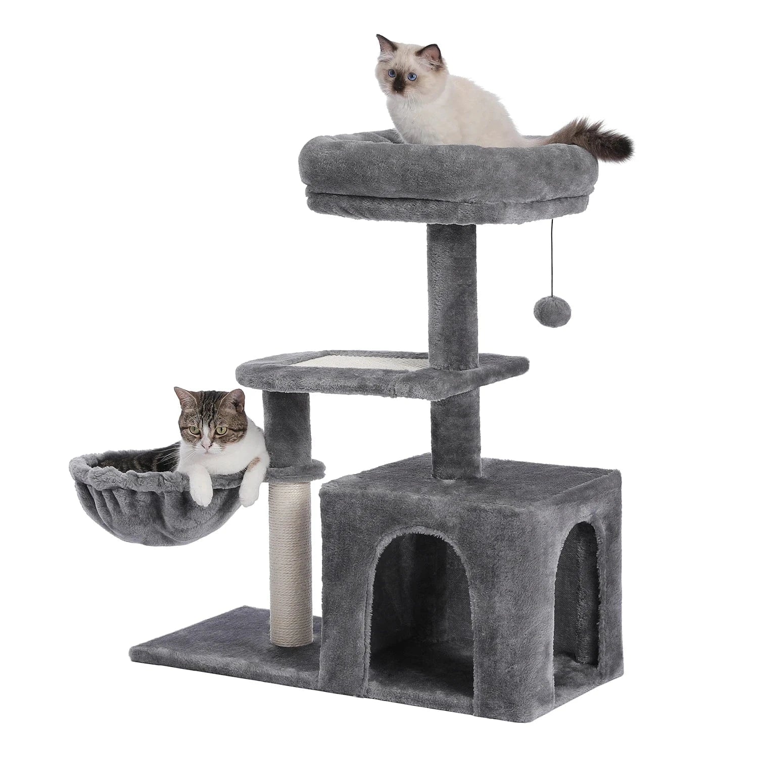 Arbre à chat | Pavonis Gris
