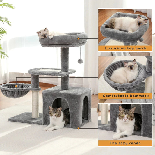 Arbre à chat | Pavonis Gris