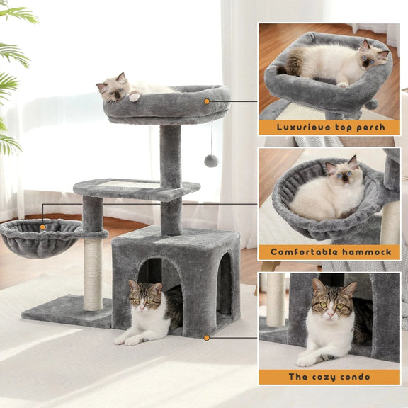 Arbre à chat | Pavonis Gris