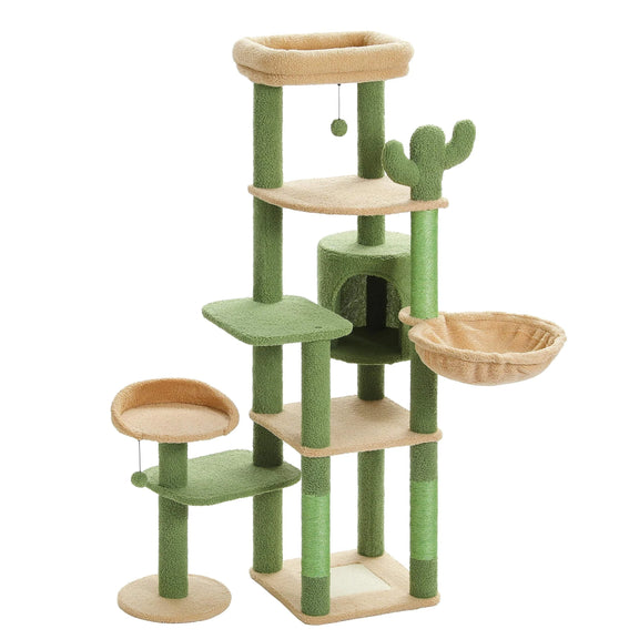 Arbre à chat | Veneris Cactus