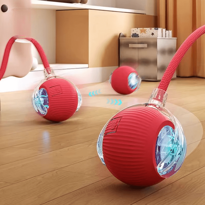 Jouet Inteligent Pour Chat 2.0